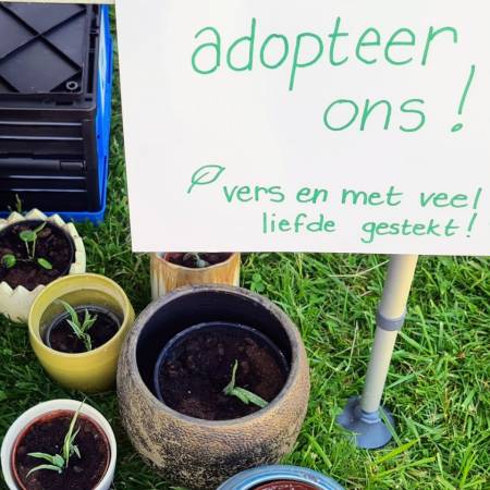 SA  8 - Reuze Rommelmarkt met Boeken-, Vinyl- en CD‑Beurs in Humelgem 